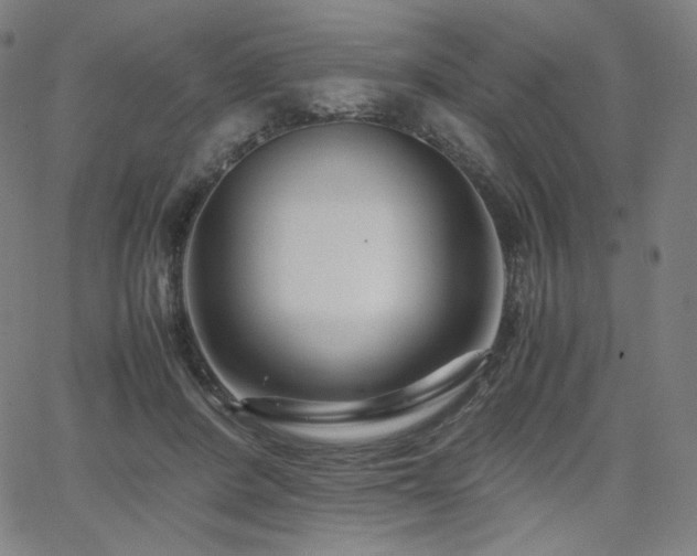 X0000066100408200603101146