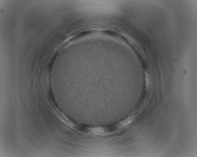 X0000066100409200603101146