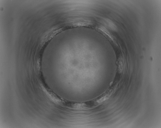 X0000066100410200603101146