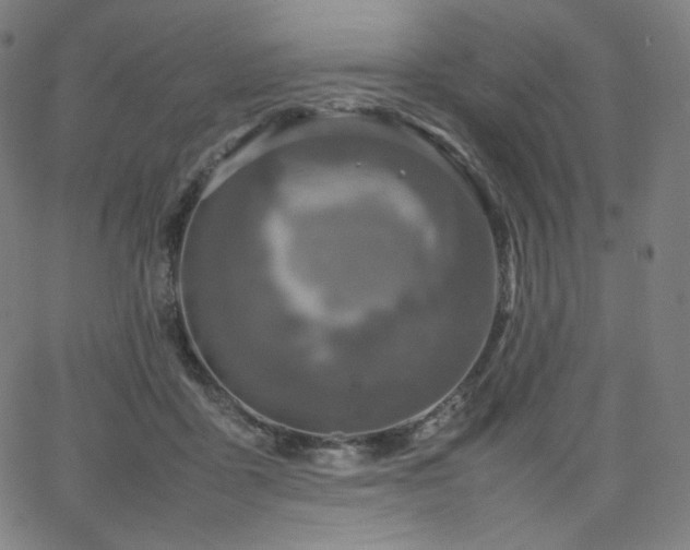 X0000066100411200603101146