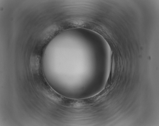 X0000066100412200603101146