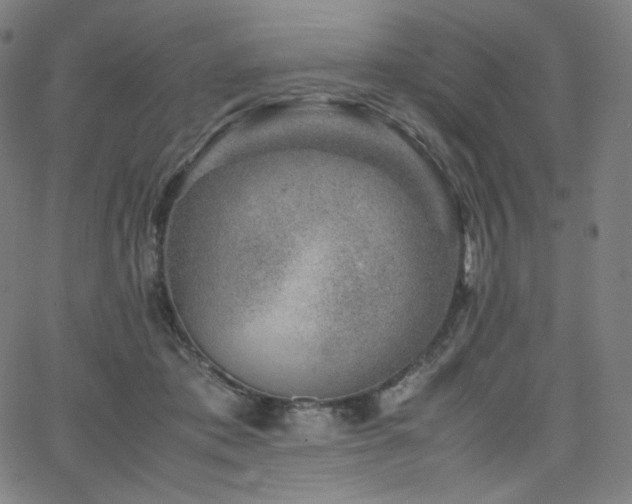 X0000066100413200603101146