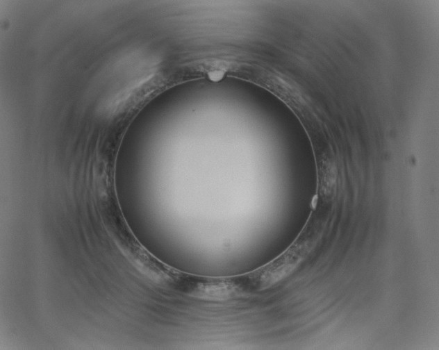 X0000066100414200603101146