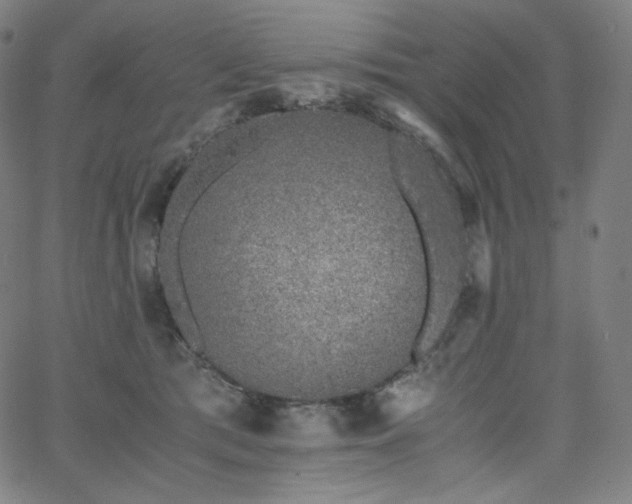 X0000066100417200603101146