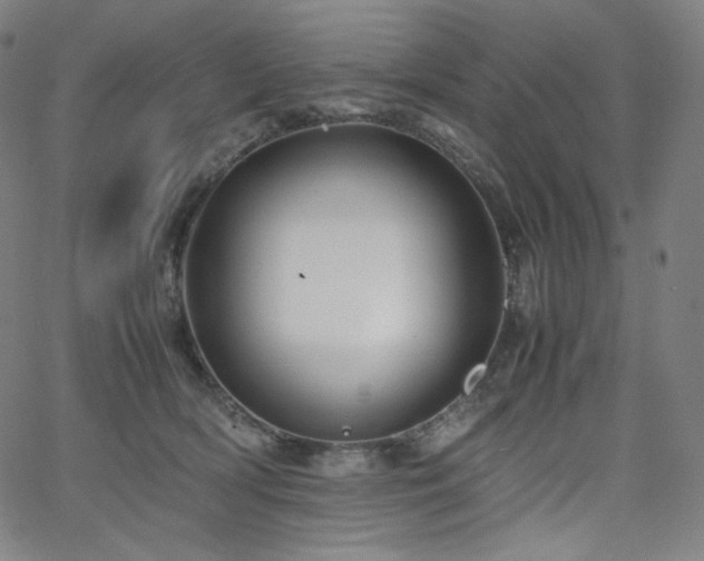 X0000066100418200603101146