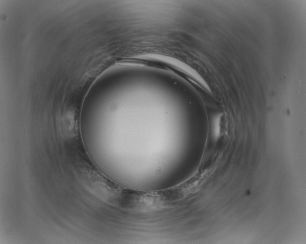 X0000066100420200603101146