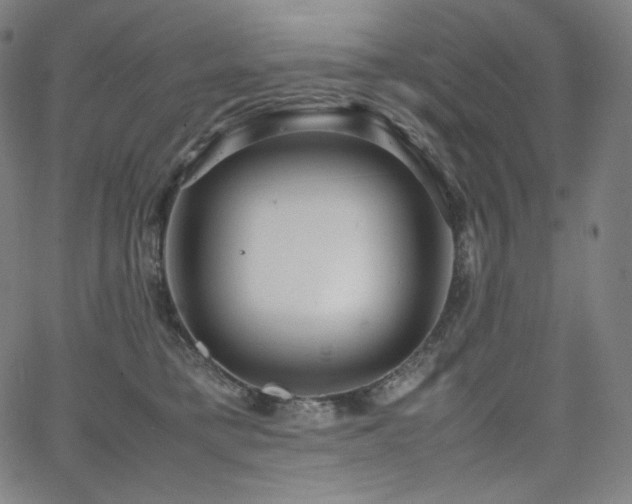 X0000066100421200603101146