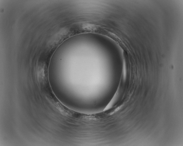 X0000066100424200603101146