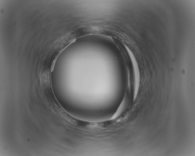 X0000066100425200603101146