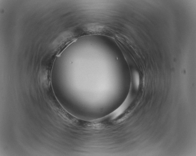 X0000066100428200603101146