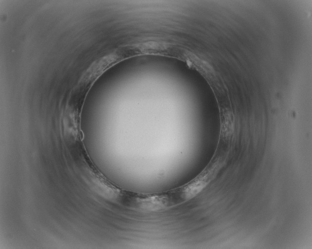 X0000066100430200603101146