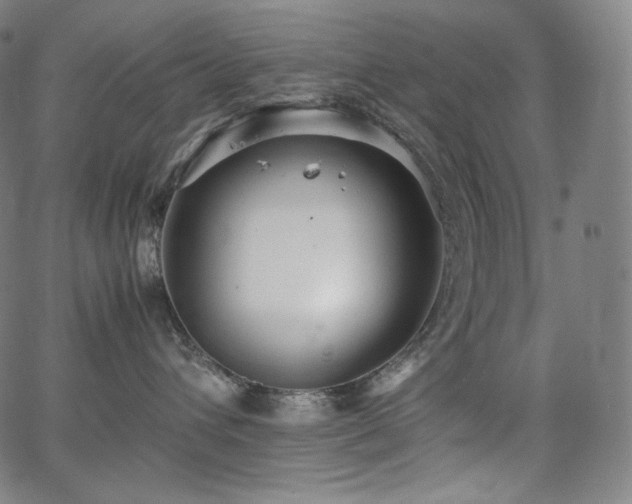 X0000066100432200603101146