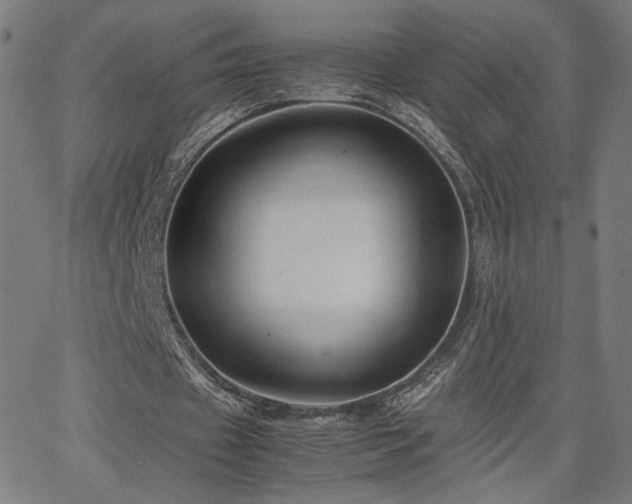 X0000066100433200603101145