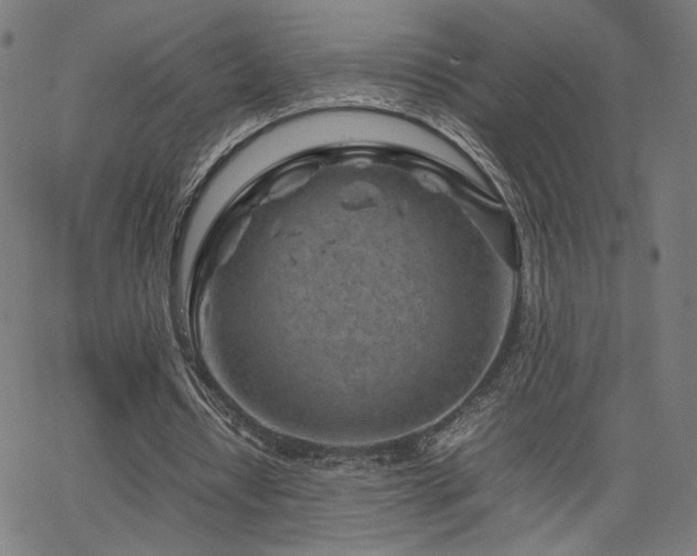 X0000066100434200603101145