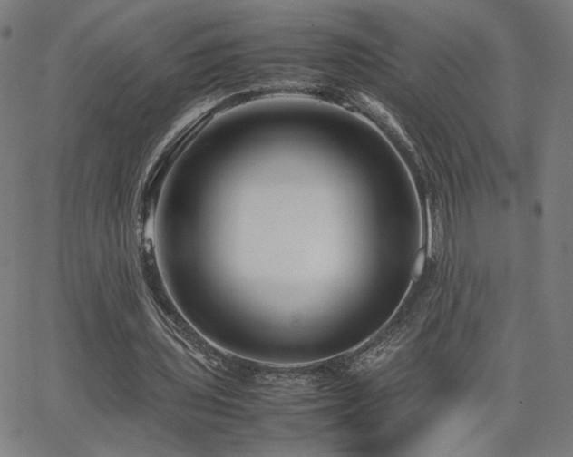 X0000066100435200603101145