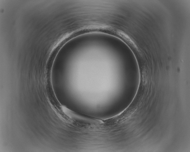 X0000066100436200603101145