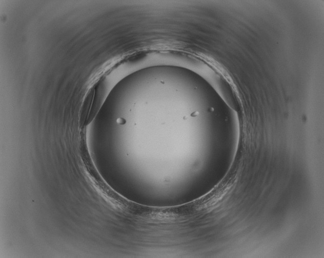 X0000066100437200603101145