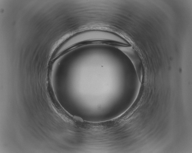 X0000066100438200603101145