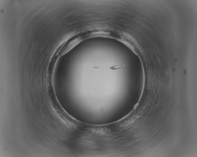 X0000066100439200603101145