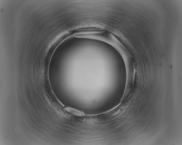 X0000066100440200603101145