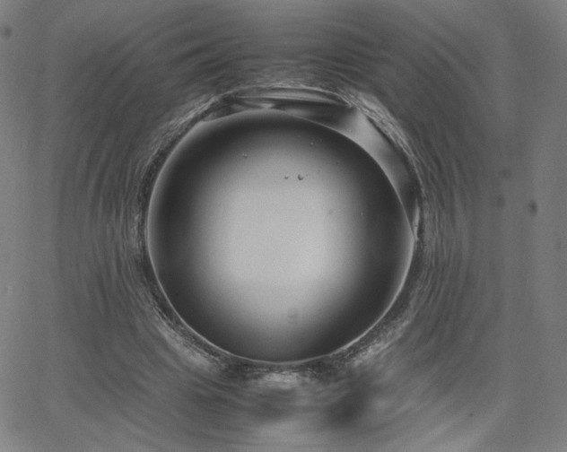 X0000066100441200603101145