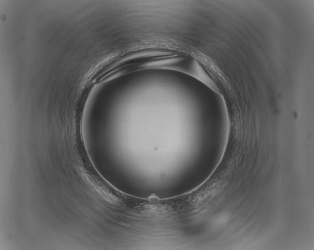 X0000066100442200603101145