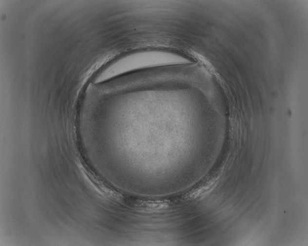 X0000066100443200603101145