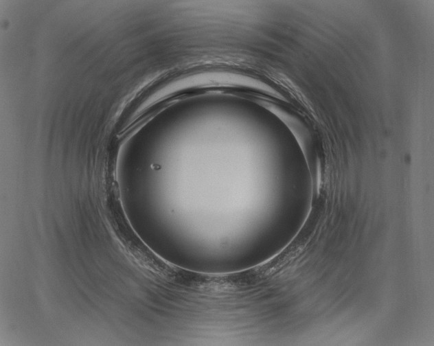 X0000066100444200603101145