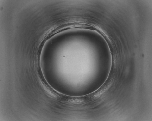 X0000066100445200603101145