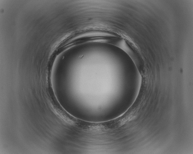 X0000066100446200603101145