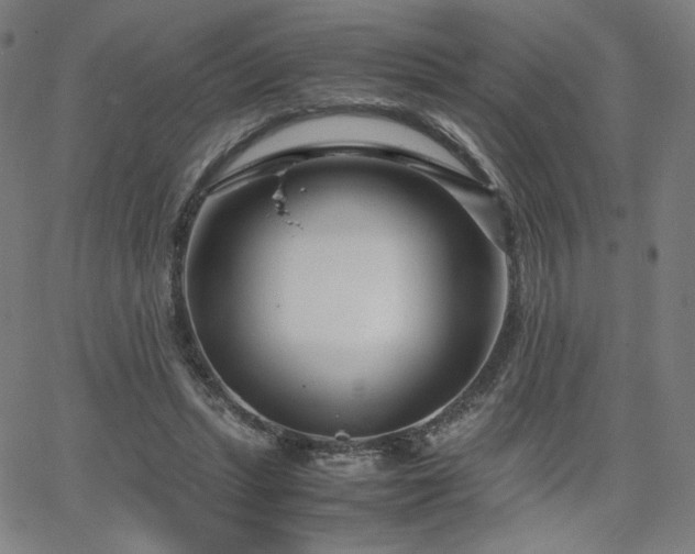 X0000066100447200603101145