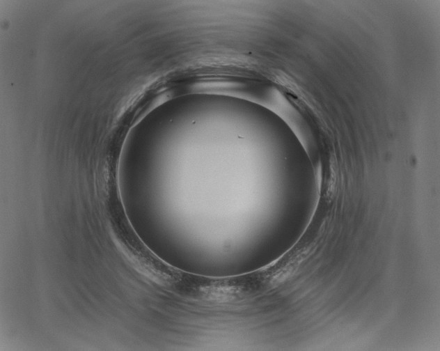 X0000066100448200603101145