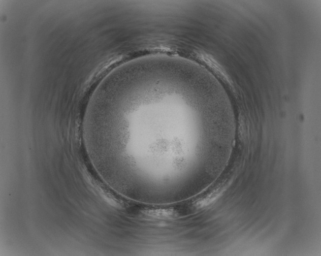 X0000066100449200603101145