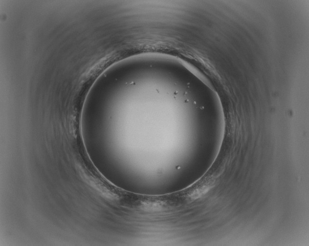 X0000066100450200603101145