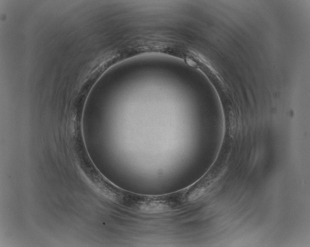 X0000066100451200603101145