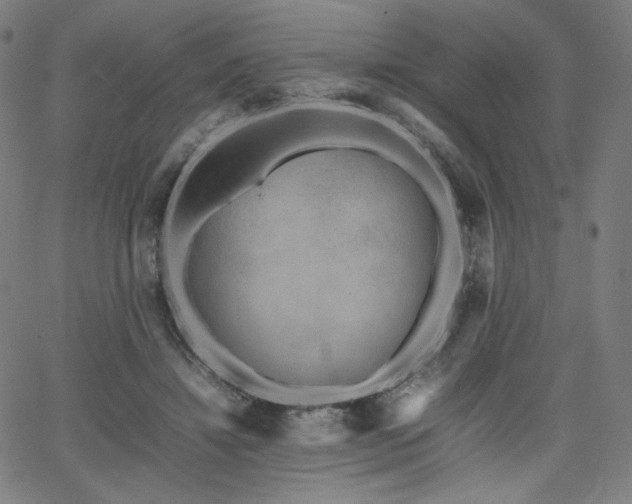 X0000066100452200603101145