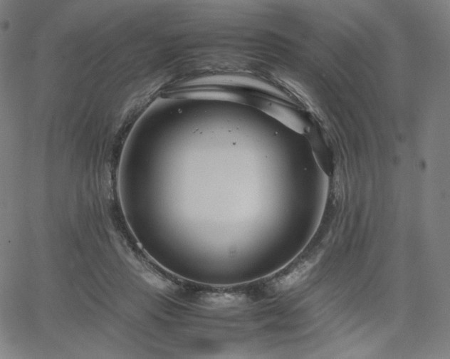 X0000066100453200603101145