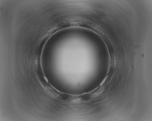 X0000066100456200603101145