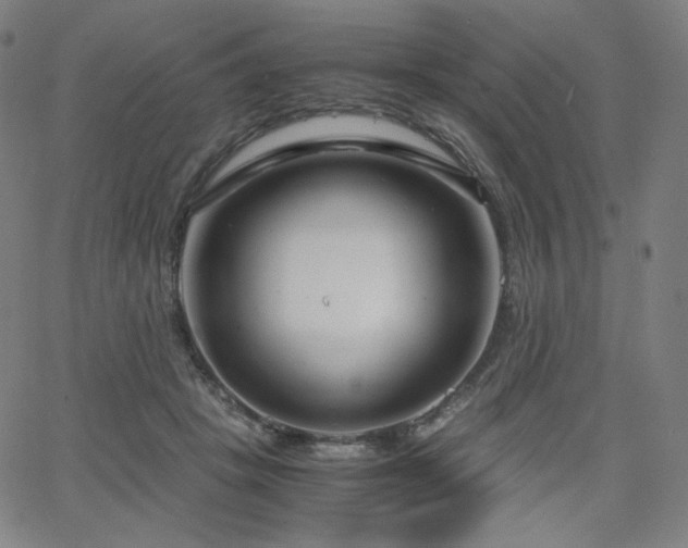 X0000066100457200603101145