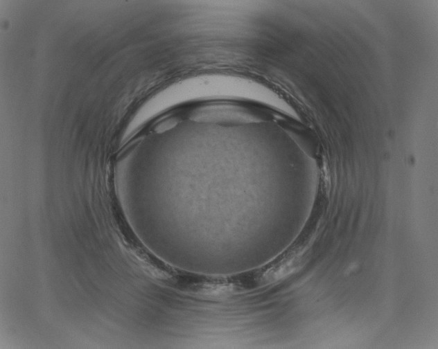 X0000066100458200603101145