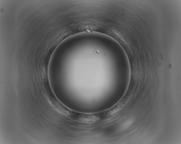 X0000066100459200603101145