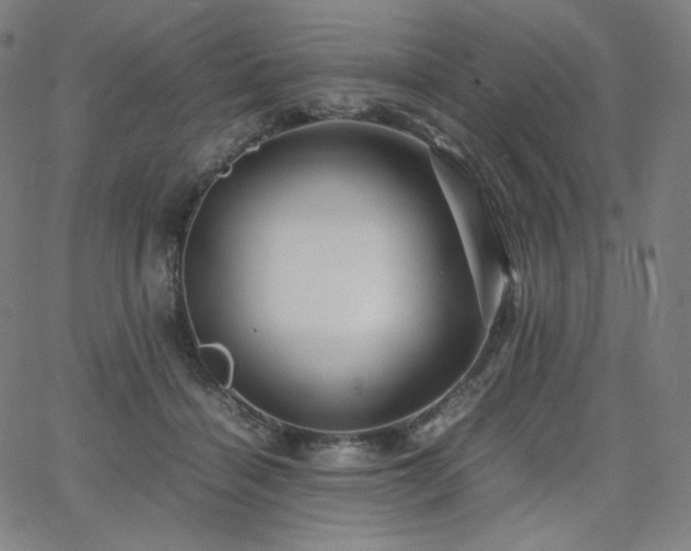 X0000066100460200603101145