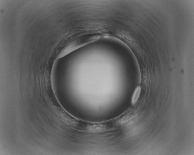 X0000066100461200603101145