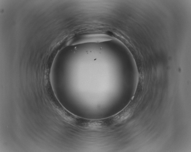 X0000066100462200603101145