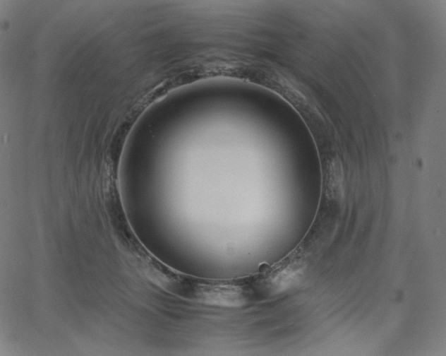 X0000066100463200603101145