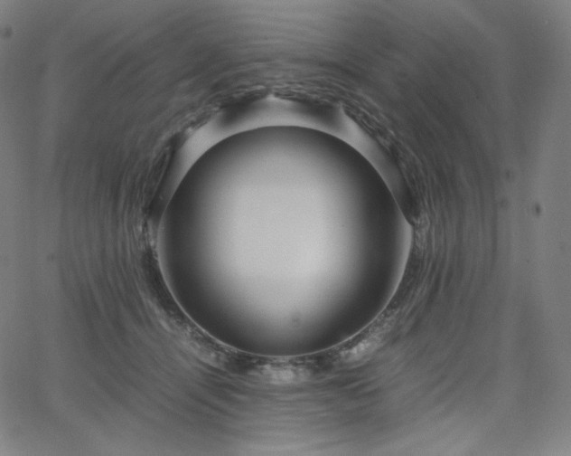 X0000066100464200603101145