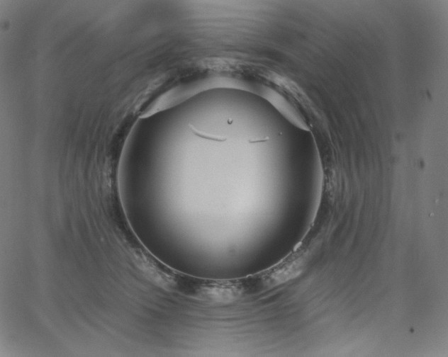 X0000066100466200603101145