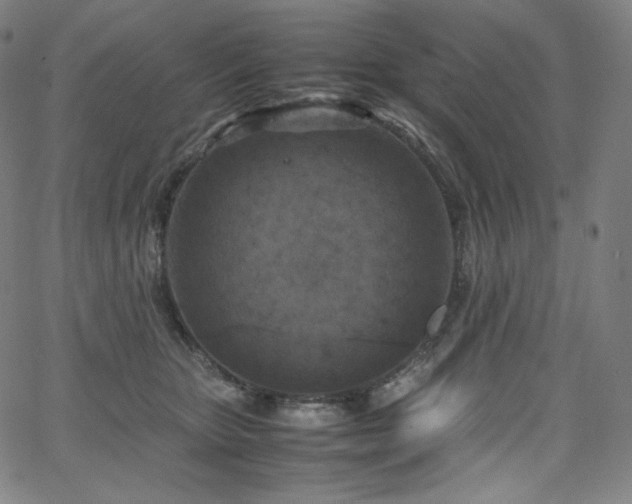 X0000066100467200603101145