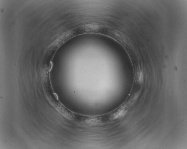 X0000066100468200603101145