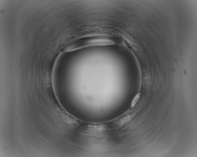 X0000066100469200603101145